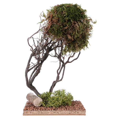 Tree with natural moss for Nativity scene 20x10x10 cm 1