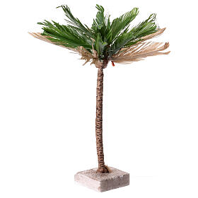 Palme zweifarbig 30 cm hoch für DIY-Krippe