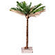 Palmier bicolore h réelle 30 cm s1