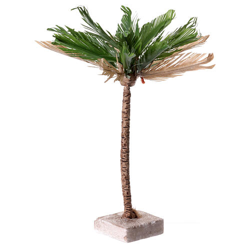 Palmeira bicolor altura real 30 cm 2