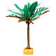 Palmier bicolore h réelle 22 cm s1
