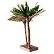 Palms for DYI Naples Nativity real h 30 cm s2