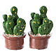 2 Cacti Plant Set 3x2x2 cm in Resin for Nativity s1