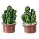 2 Cacti Plant Set 3x2x2 cm in Resin for Nativity s2