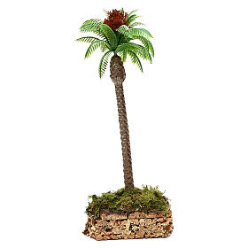 Palmeira com base de cortiça altura real 20 cm