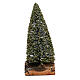 Fir tree DIY nativity, real h 15 cm s2
