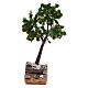 Orange tree for nativity, real h 15 cm s1