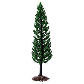 Cypress, tree for nativity real h 15 cm