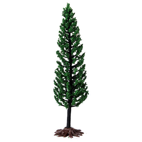 Cypress, tree for nativity real h 15 cm 1