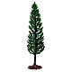 Cypress, tree for nativity real h 15 cm s1