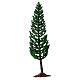 Cypress, tree for nativity real h 15 cm s3