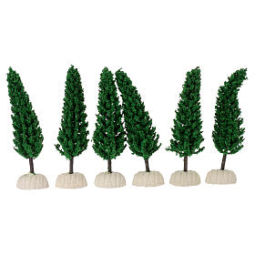 Pino, albero per presepe h reale 15 cm
