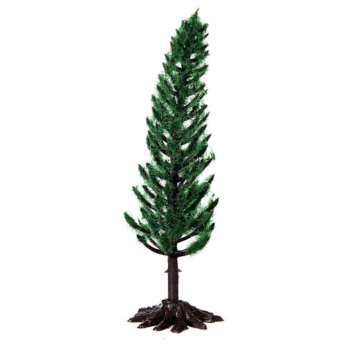 Pino, albero per presepe h reale 15 cm 3