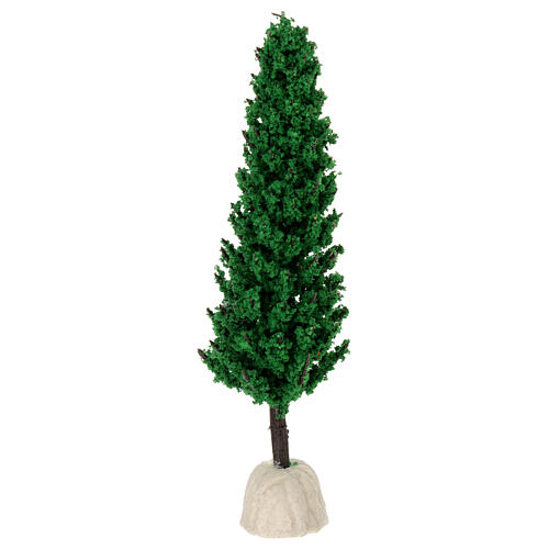 Pine, tree for nativity real h 15 cm 3