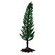 Pine, tree for nativity real h 15 cm s3