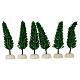 Pine, tree for nativity real h 15 cm s2