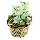 Miniature flower basket, for DIY nativity real h 4 cm s1