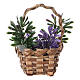 Lavender basket for DIY nativity, real h 5 cm s3