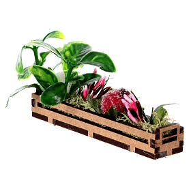 Wooden planter 5x10x5 cm