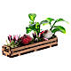 Wooden planter 5x10x5 cm s3