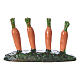 Fila di carote piantate orto 5x5x5 cm presepe 7 cm s1