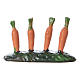 Fila di carote piantate orto 5x5x5 cm presepe 7 cm s3