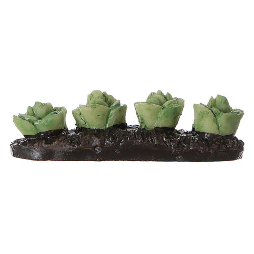 Row of garden lettuce, in resin 5x5x5 cm 3