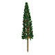 Cypress tree without base for DIY Nativity scene real height 17 cm s1