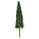 Cypress tree, real h 17 cm without base s2
