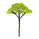 Drzewo zielone bez podstawy do szopki, h rzeczywista 9 cm s1