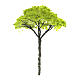 Green tree without base, for nativity real h 9 cm s1