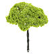 Green tree without base for DIY Nativity scene real height 14 cm s1