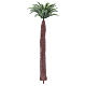 Palm tree figurine without base, for diy nativity real h 17 cm s2