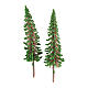 Cypress tree set 2 pcs for DIY Nativity scene real h 6.5 cm s1