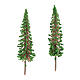 Cypress tree 2 piece set, for diy nativity real h 6.5 cm s2