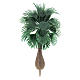Palm tree without base real h 10 cm for DIY Nativity scene s1