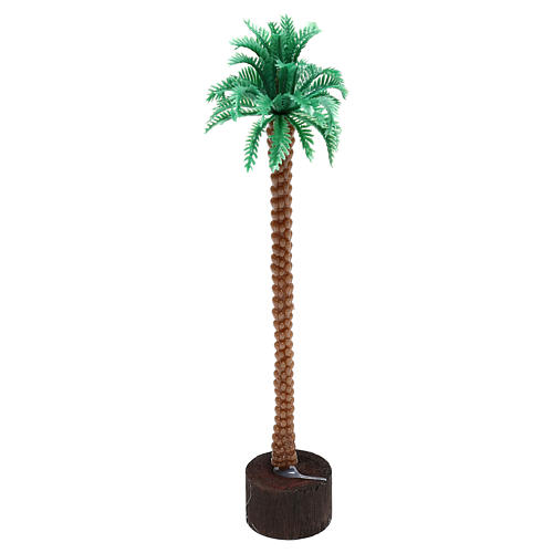 Grafted palm tree 14 cm nativity 1