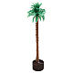 Grafted palm tree 14 cm nativity s1
