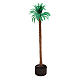 Grafted palm tree 14 cm nativity s2