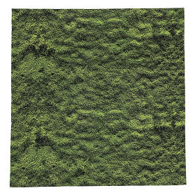 Nativity backdrop paper, moss 60x60 cm
