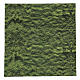 Nativity backdrop paper, moss 60x60 cm s1