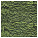 Nativity backdrop paper, moss 60x60 cm s3