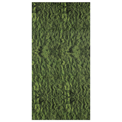 Nativity backdrop moss paper 120x60 cm 1