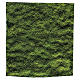 Moss design paper for nativity scenes 30x30 cm s3