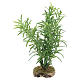 Arbusto 10x5x5 cm para bricolagem de presépio com figuras de 10 -12cm de altura média s1