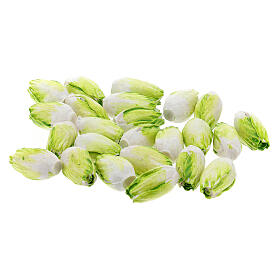 Chinakohl Set mit 24 Stück für Krippen 6-8 cm
