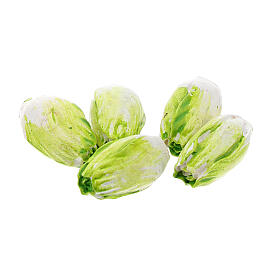 Chinakohl Set mit 24 Stück für Krippen 6-8 cm