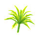 Agave plant in plastic Moranduzzo for 6-10 cm Nativity scene s1