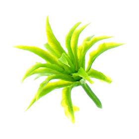 Agave crèche 6-10 cm Moranduzzo plastique