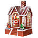 Gingerbread house snow globe lights and movement 25 cm s5